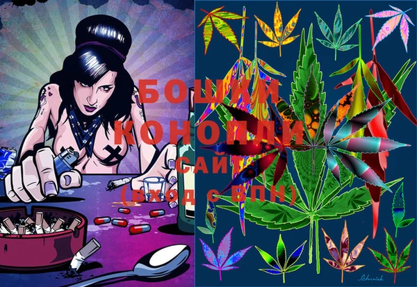 ECSTASY Майский