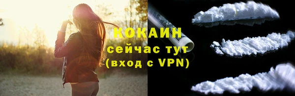 ECSTASY Майский