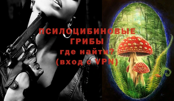 ECSTASY Майский