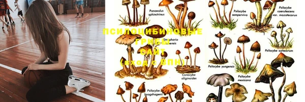 ECSTASY Майский