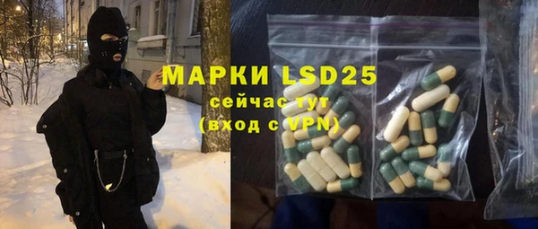 ECSTASY Майский